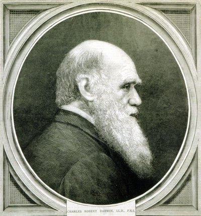 Portret van Charles Darwin (1809 - 1882) door Unknown artist