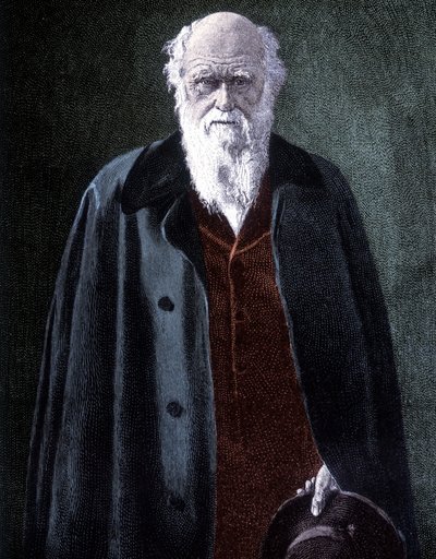 Portret van Charles Darwin, Britse natuuronderzoeker (1809 - 1882) door Unknown artist