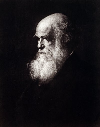 Portret van Charles Robert Darwin (1809 - 1882) door Unknown artist