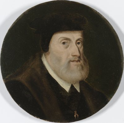 Portret van Karel V, c.1550 door Unknown artist