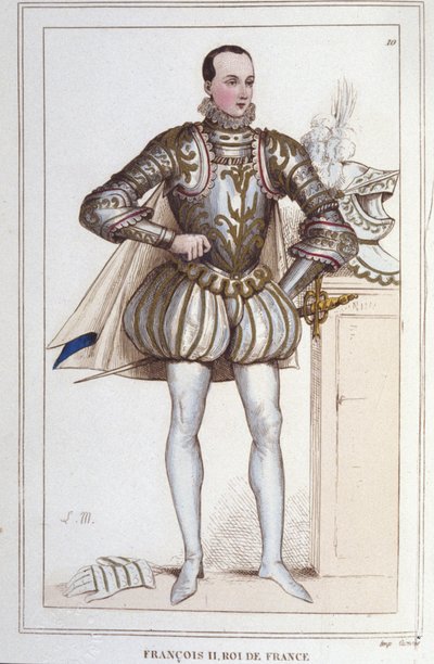 Portret van Francois II (1544 - 1560), Koning van Frankrijk gravure uit 1830 door Unknown artist