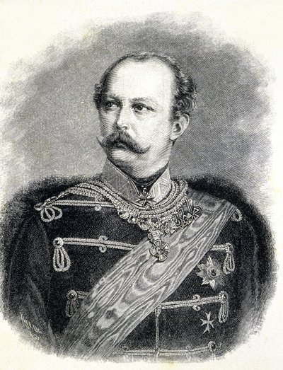Portret van Frederik Karel van Pruisen (1828 - 1885), neef van Willem I door Unknown artist