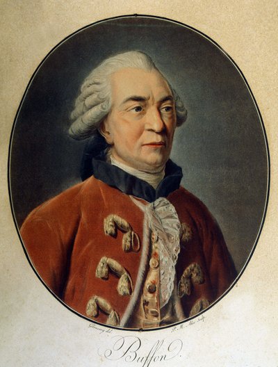 Portret van Georges Louis Leclerc, Graaf van Buffon (1707 - 1788), Franse natuuronderzoeker en schrijver. door Unknown artist