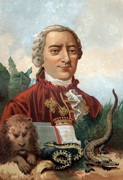 Portret van Georges Louis Leclerc, Graaf van Buffon (1707 - 1788), Franse natuuronderzoeker en schrijver. Chromolithografie 19e eeuw. naar 