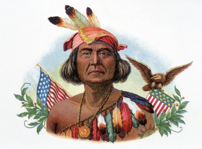 Portret van Geronimo, Apache chef voor Amerikaanse vlaggen. Chromolithografie van de 19e eeuw. door Unknown artist