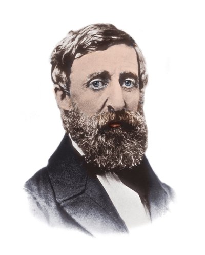 Portret van Henry David Thoreau (1817-1862) - Amerikaanse essayist, dichter, filosoof, abolitionist, natuuronderzoeker, belastingweigeraar, ontwikkelingscriticus, landmeter en historicus door Unknown artist