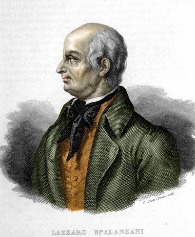 Portret van Lazzaro Spalanzani, Italiaanse bioloog (1729 - 1799) door Unknown artist