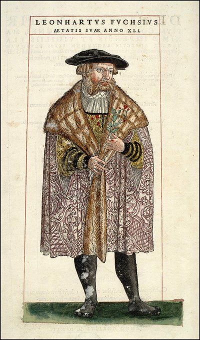 Portret van Leonhart Fuchs: Botanicus - Duitse arts (1501 - 1566) - in “De Historia Stirpium commentarii badges,...” door Leonhart Fuchs door Unknown artist