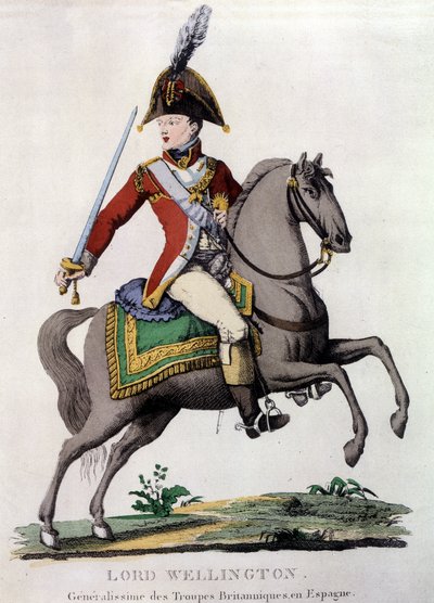 Portret van Lord Wellington (1769-1852), generaal van Britse troepen in Spanje door Unknown artist