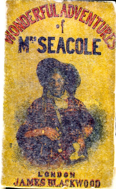 Portret van Mary Jane Seacole (1805 - 14 mei 1881), geboren Grant. Een in Jamaica geboren vrouw van Schotse en Creoolse afkomst die een 