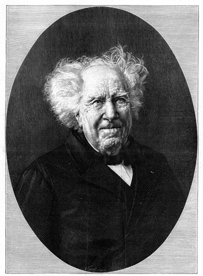 Portret van Michel Eugene (Michel-Eugene) Chevreul (1786-1889), Franse chemicus. Gravure in 