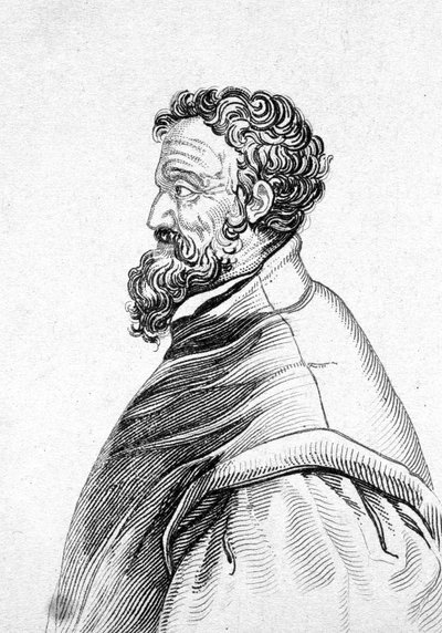 Portret van Michelangelo Buonarroti, bekend als Michelangelo door Unknown artist