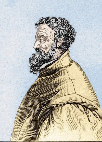 Portret van Michelangelo Buonarroti, genaamd Michelangelo door Unknown artist