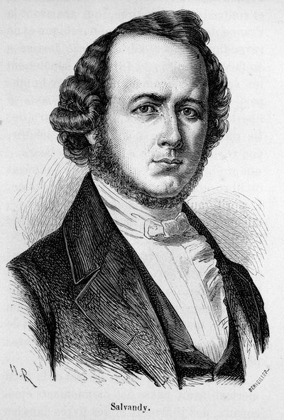 Portret van Narcissus Achilles, Graaf van Salvandy, Franse politicus (1795 - 1856) door Unknown artist