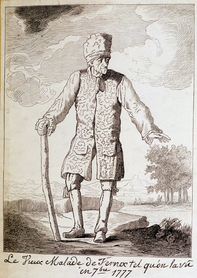 Portret van Voltaire (1694-1778), Franse schrijver en filosoof, op oudere leeftijd door Unknown artist