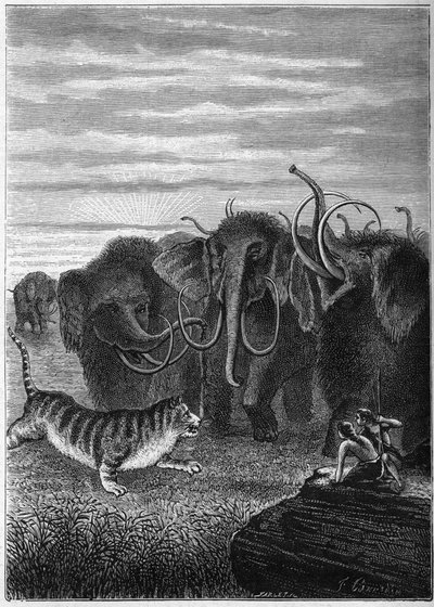 Prehistorie: Mammoeten en reuzenkatten in grotten. Gravure uit "Parijs voor de geschiedenis" door Elie Berthet door Unknown artist
