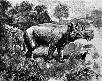 Prehistorie: voorstelling van een vierhoornige Uintatherium dinosaurus. door Unknown artist