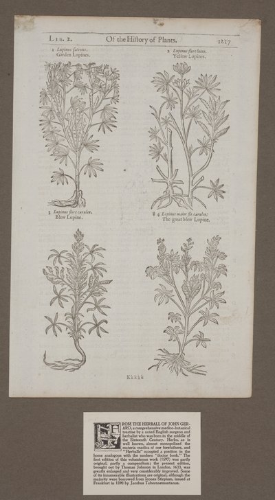 Gedrukte pagina 1217 uit 
