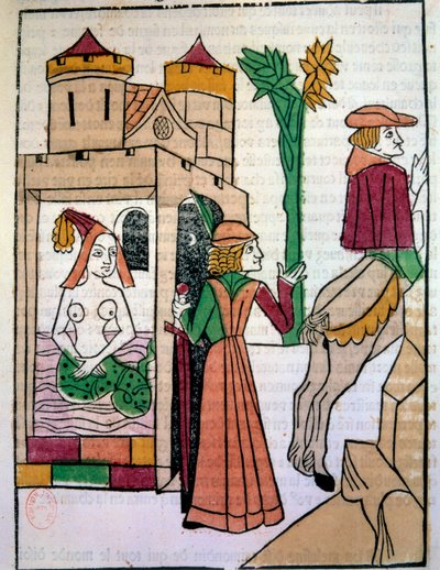 Raimondin bespiedt zijn vrouw Melusine in bad door Unknown artist