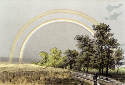 Regenboog - in 