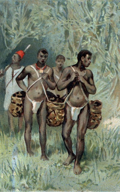 Rubber verzamelen in Congo. Chromolithografie uit de late 19e eeuw door Unknown artist