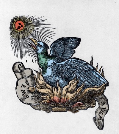 Voorstelling van een Feniks (of phoenix), legendarische vogel, herboren uit zijn as. Gravure van de 19e eeuw door Unknown artist
