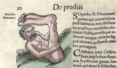 Voorstelling van een Sciapod-monster Gravure uit 