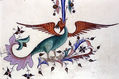 Afbeelding van een drakenvleugel. Miniatuur van een 14e-eeuws manuscript. Milaan, Biblioteca Nazionale Braidense door Unknown artist