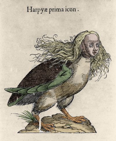 Voorstelling van een harpij Gravure door Ulisse Aldrovandi, Monstrorum Historiae, Bologna 1642 door Unknown artist