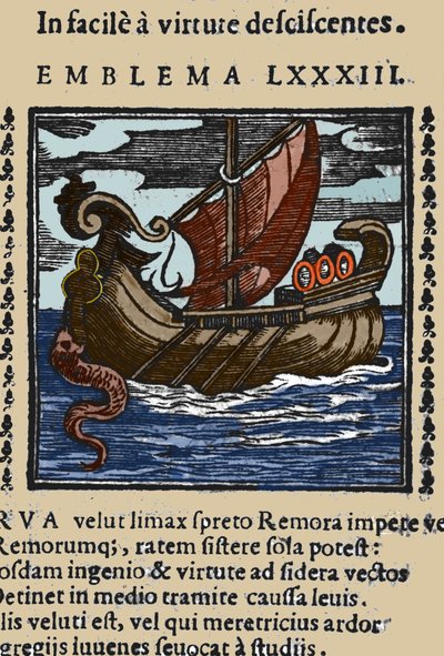 Weergave van een remora die volgens de verhalen van Plinius, Sint Ambrosius en Rabelais schepen aanviel door zijn staart met een zuignap aan een rots te bevestigen en het schip met zijn mond te blokkeren. Gravure uit een 17e-eeuws werk door Unknown artist