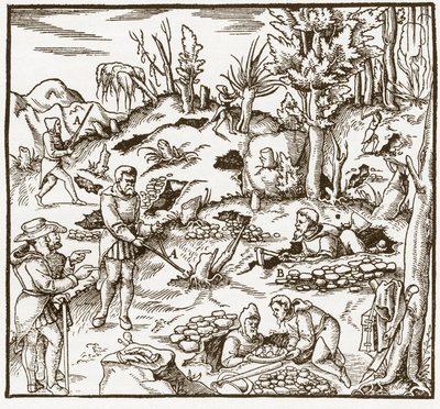 Rhabdomantie - Verkenning van een mijnveld met behulp van de wichelroede - Mannen snijden en gebruiken wichelroedes om mineralen te lokaliseren - Uit De re metallica door Georgius Agricola (Georg Bauer), Basel door Unknown artist