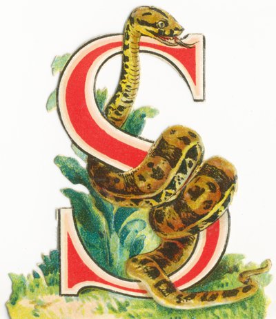 S: Slang door Unknown artist