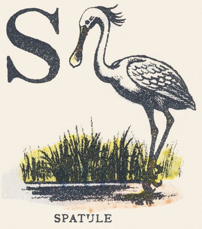 S: spatel door Unknown artist
