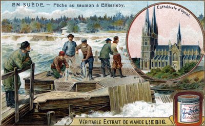 Zalmvissen in Elfkarleby, Zweden. Chromolithografie, Liebig afbeelding door Unknown artist
