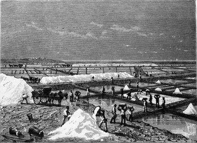 Zoutproductie: uitzicht op een zoutpan (saline) 19e-eeuwse gravure door Unknown artist