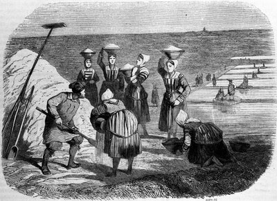 Zoutproductie: vrouwen werken in zoutmoerassen. Gravure uit de 19e eeuw door Unknown artist