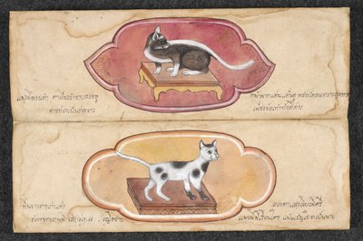 Siamese katten door Unknown artist