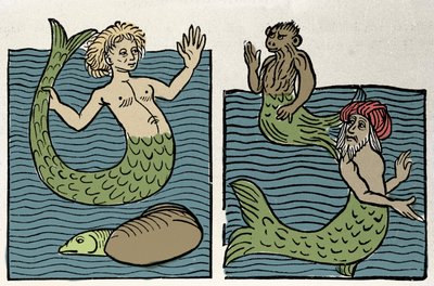 Sirene of Maagd van de Zee, Aap en Zee Turk door Unknown artist