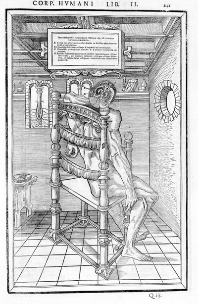 Schedelsnede. Anatomische plaat van 