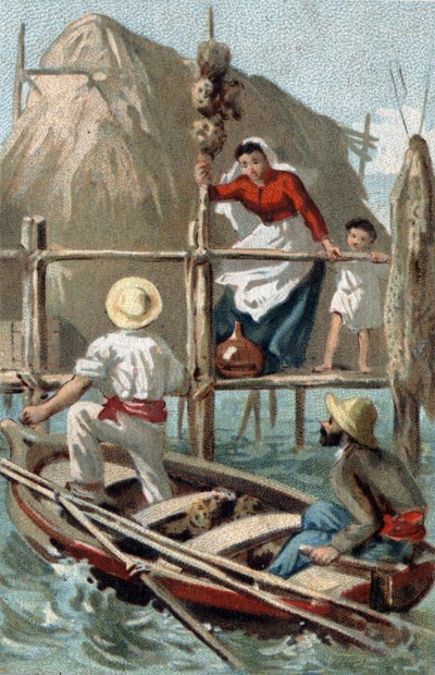 Sponsvissers in Cuba. Chromolithografie van het einde van de 19e eeuw. door Unknown artist