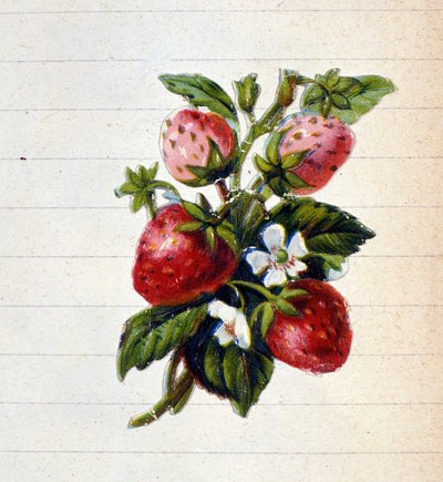 Aardbeien. 19e-eeuwse chromolithografie. door Unknown artist