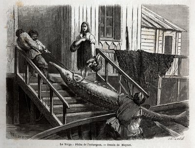 Steurvissen bij de monding van de Wolga door Unknown artist