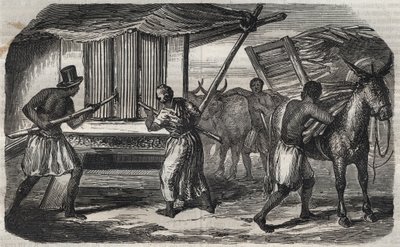 Suikerproductie: een suikerrietmolen in een suikerfabriek in West-Indië. Gravure uit 1859 door Unknown artist