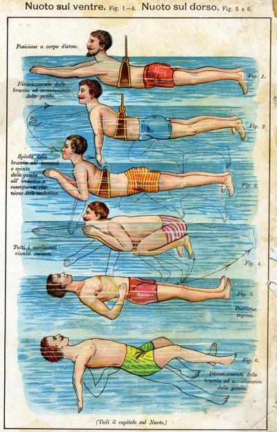 Zwemmen op de buik - in Bilz, Natuurlijke Medicatie, eind 19e eeuw door Unknown artist