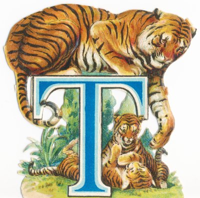 T: Tijger door Unknown artist