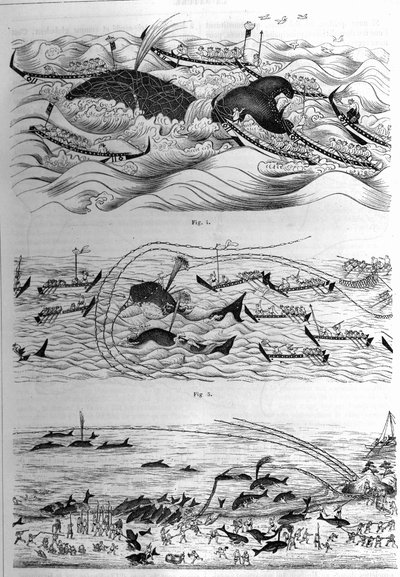 Vistechnieken van deze soort in Japan. Voorbeeld van tekeningen gestuurd door de Japanse regering. Gravure in "La Nature: revue des sciences et de leurs applications aux arts et a l