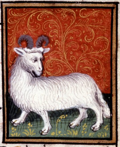De Ram. Miniatuur van een horoscoop. 15e eeuws manuscript. Bibl. Trivulziana, Milaan. door Unknown artist