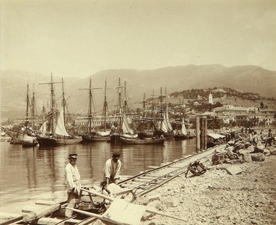 De Bouw van een Pier in Jalta. Albumine Foto door Unknown artist