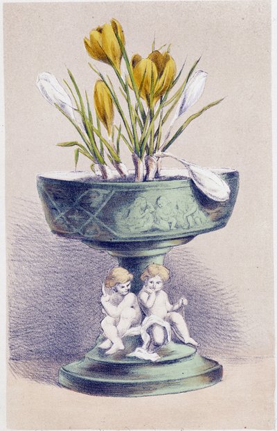 De Vier Seizoenen: Lente, Narcissen door Unknown artist