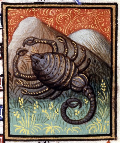 De Schorpioen. Miniatuur van een horoscoop. 15e-eeuws manuscript. Bibl. Trivulziana, Milaan. door Unknown artist